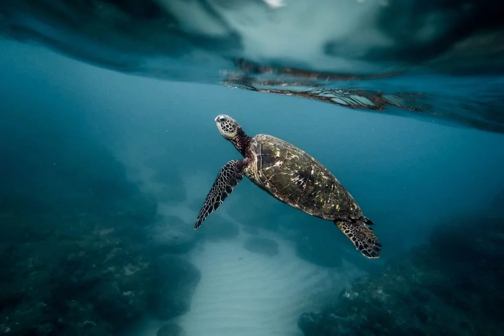 Jeremy Bishop 136677 Unsplash